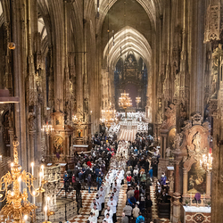 Chrisammesse 2025 / Erzdiözese Wien/ Schönlaub, Stephan Schönlaub