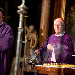 Stephansdom: Österreich nahm Abschied von Papst Franziskus